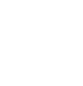 Carry My Own Weight logo